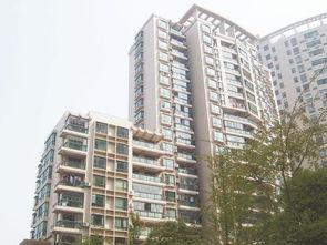 龙兴嘉苑爆料最新消息,揭秘项目进展与周边动态 第2张 龙兴嘉苑爆料最新消息,揭秘项目进展与周边动态 第2张